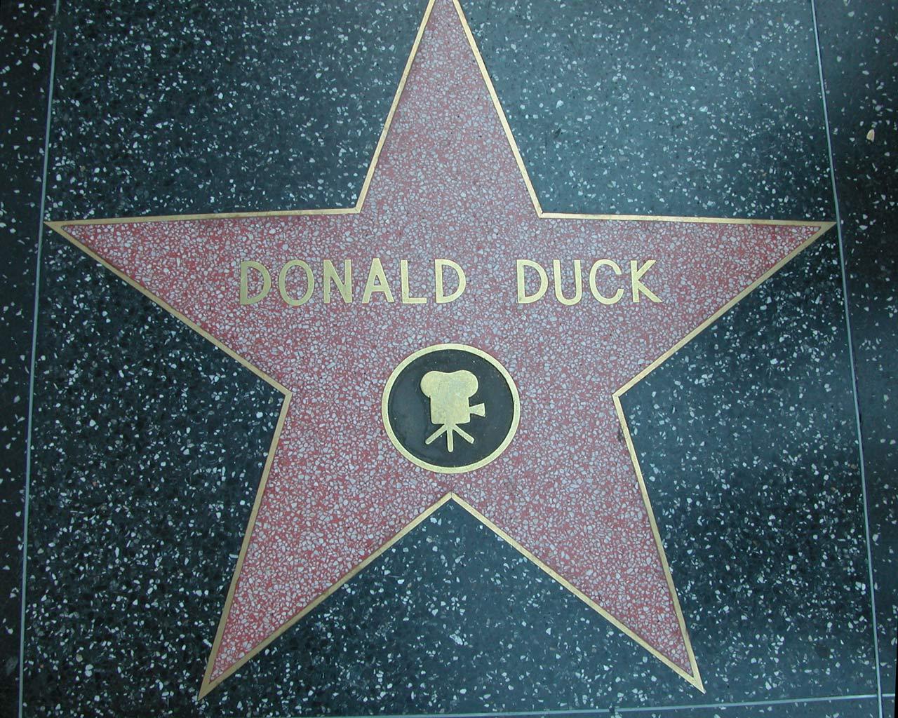 Los Angeles - Donald Duck on Walk of Fame Wallpaper #3 1280 x 1024 