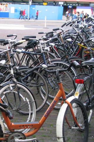 Amsterdam - Bicycles Wallpaper #1 320 x 480 (iPhone/iTouch)
